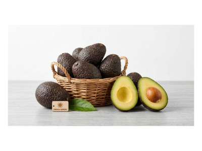 Avocado