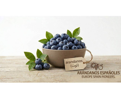 Blueberries