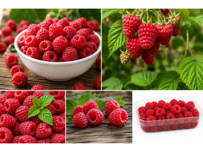 red berries