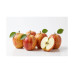 Fuji Apples from Spain