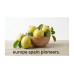 Guava