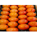Persimmon