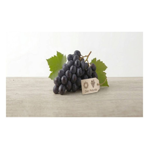Black  Grapes